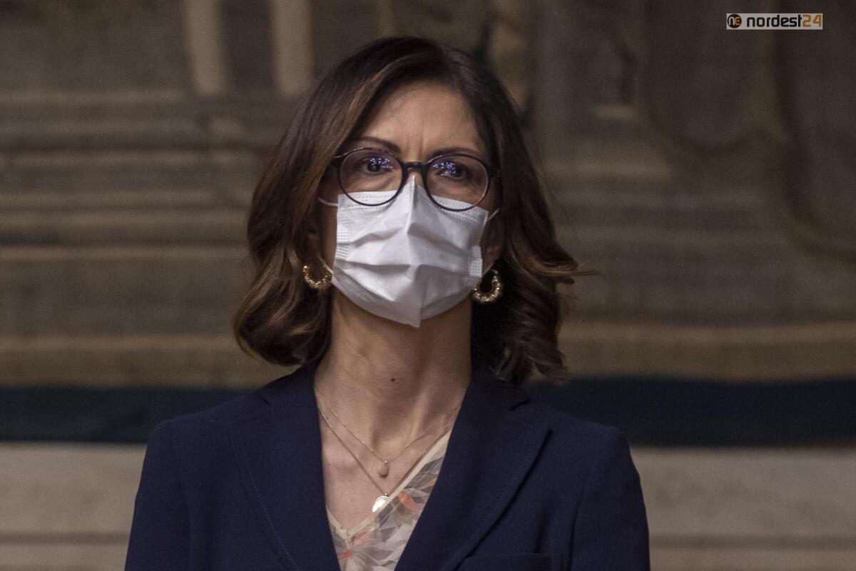 Gelmini, "rapidi sui ristori e congedi parentali retroattivi" - 