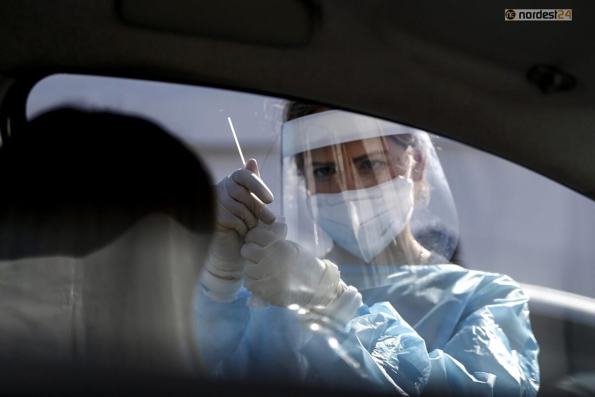 Covid, in Fvg positività all'8,8% su molecolari e 11,58% su test rapidi, 38 nuovi ricoveri - 