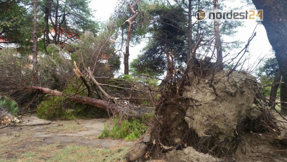 Bibione, dalla Regione 40mila euro per danni tromba d'aria 2017 - 