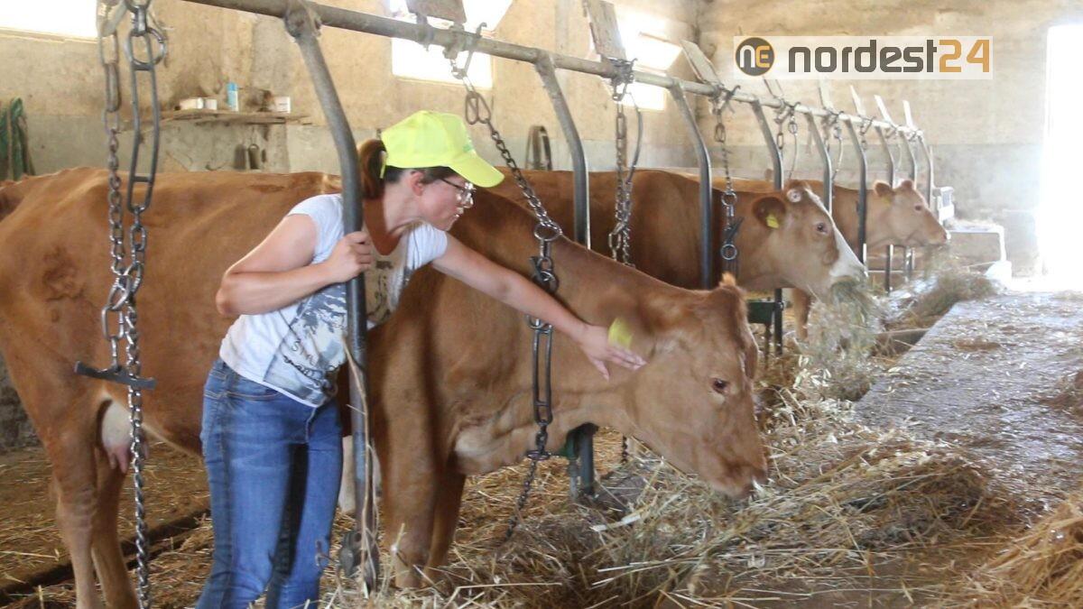 Allevatori Fvg, Livoni: «siamo un’attivita' essenziale, ora vaccinateci» - 
