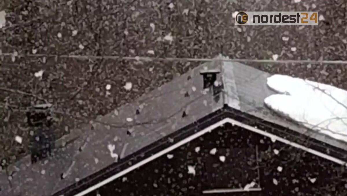 Neve di primavera a Piancavallo, 11 aprile 2021 - VIDEO - 