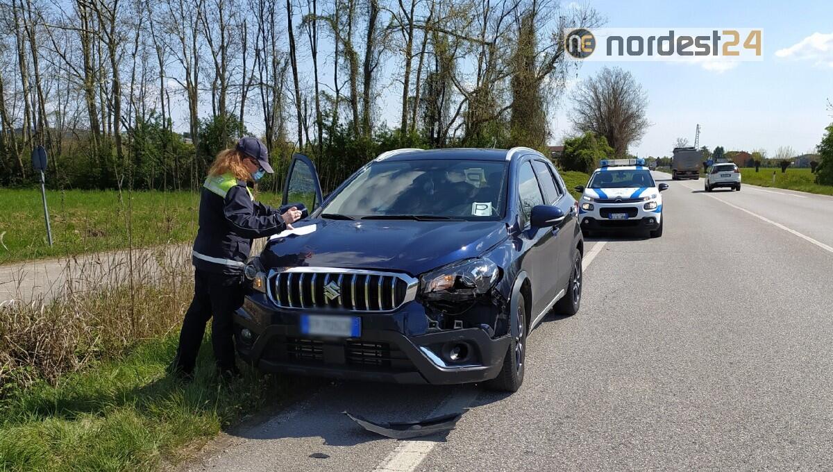 Investe un capriolo a Terenzano: automobilista illeso, ma danni ingenti - 