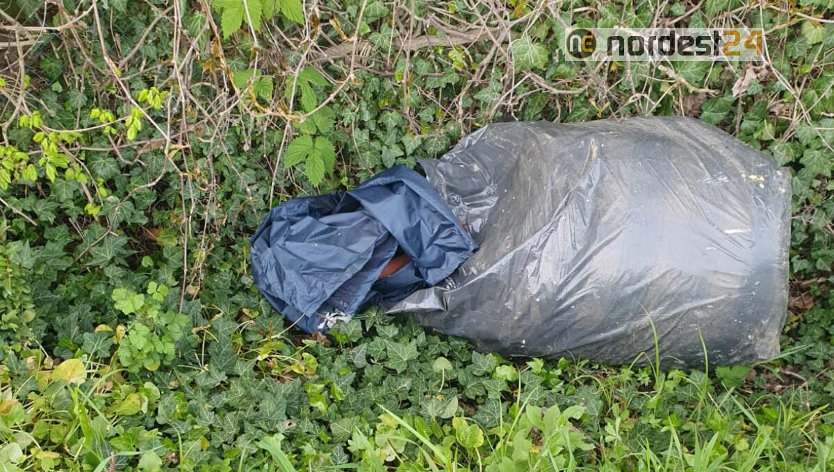 Scende dall’auto e lancia i rifiuti nel fosso: preso e sanzionato - 