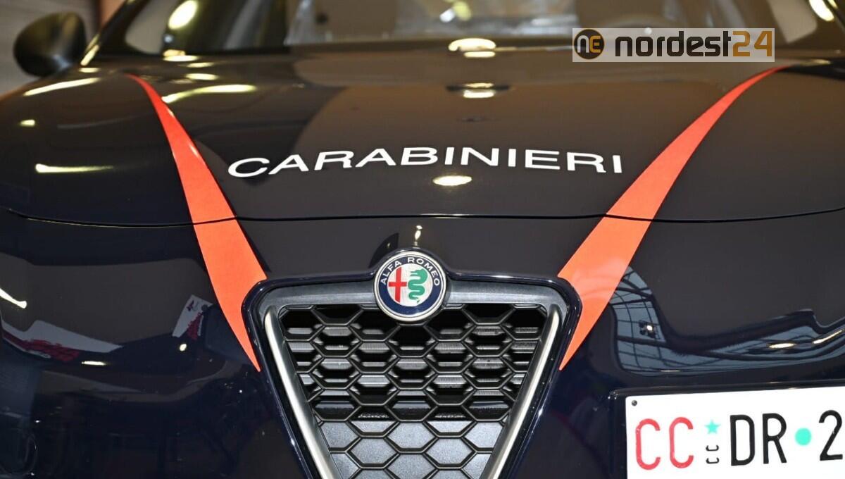 Furti, danneggiamenti ed incendi: denunciati due giovani - 