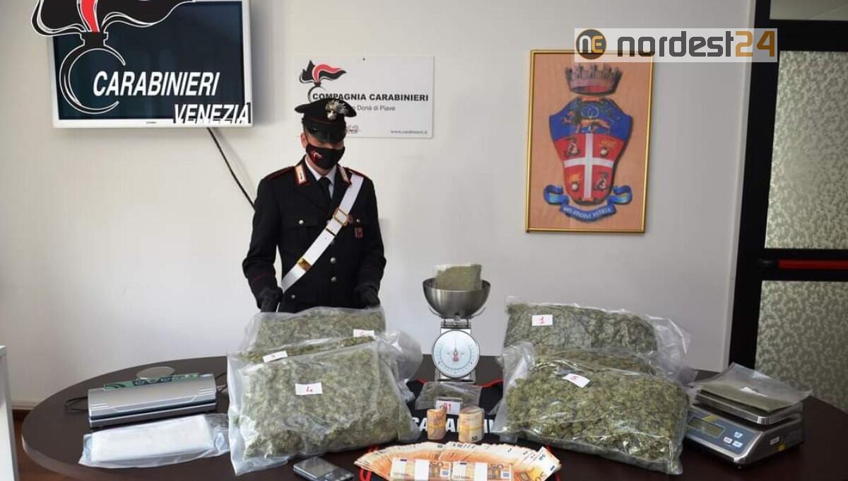 San Donà, agente di commercio con il vizio dello spaccio: scoperto con 6,5 chili di marijuana - 