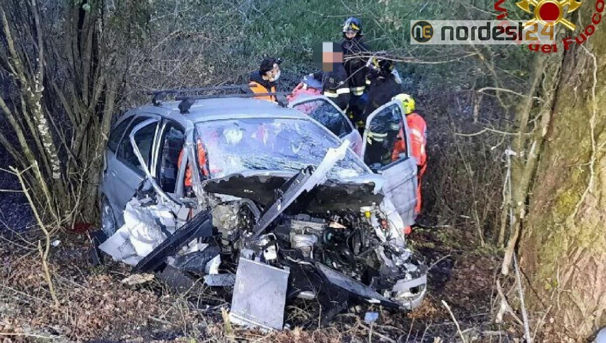 Un cervo attraversa, l'auto finisce nella scarpata per 8 metri: grave una giovane - 