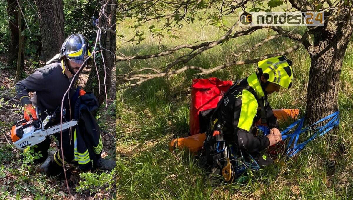 Precipita dal ponte della ciclabile Cottur a Trieste: gravissima una persona - 