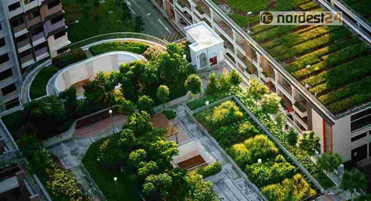 Pordenone. Città green, altri 6 edifici pubblici coinvolti nel rinnovamento energetico - 