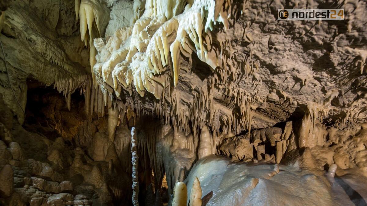 Riaprono oggi al pubblico le Grotte di Villanova, con una ricca proposta di visite guidate - 