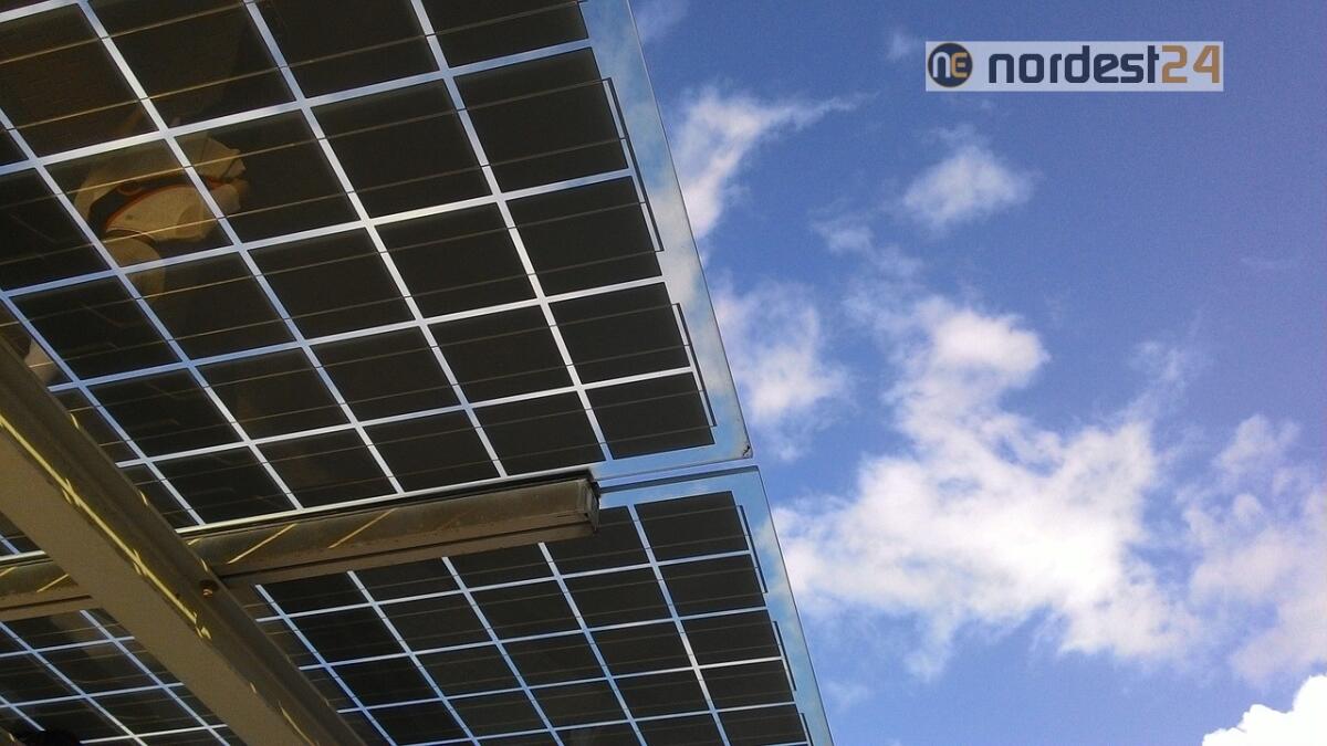 Amazon investe nell’agro-fotovoltaico di Engie: il nuovo progetto in fase di realizzazione - 