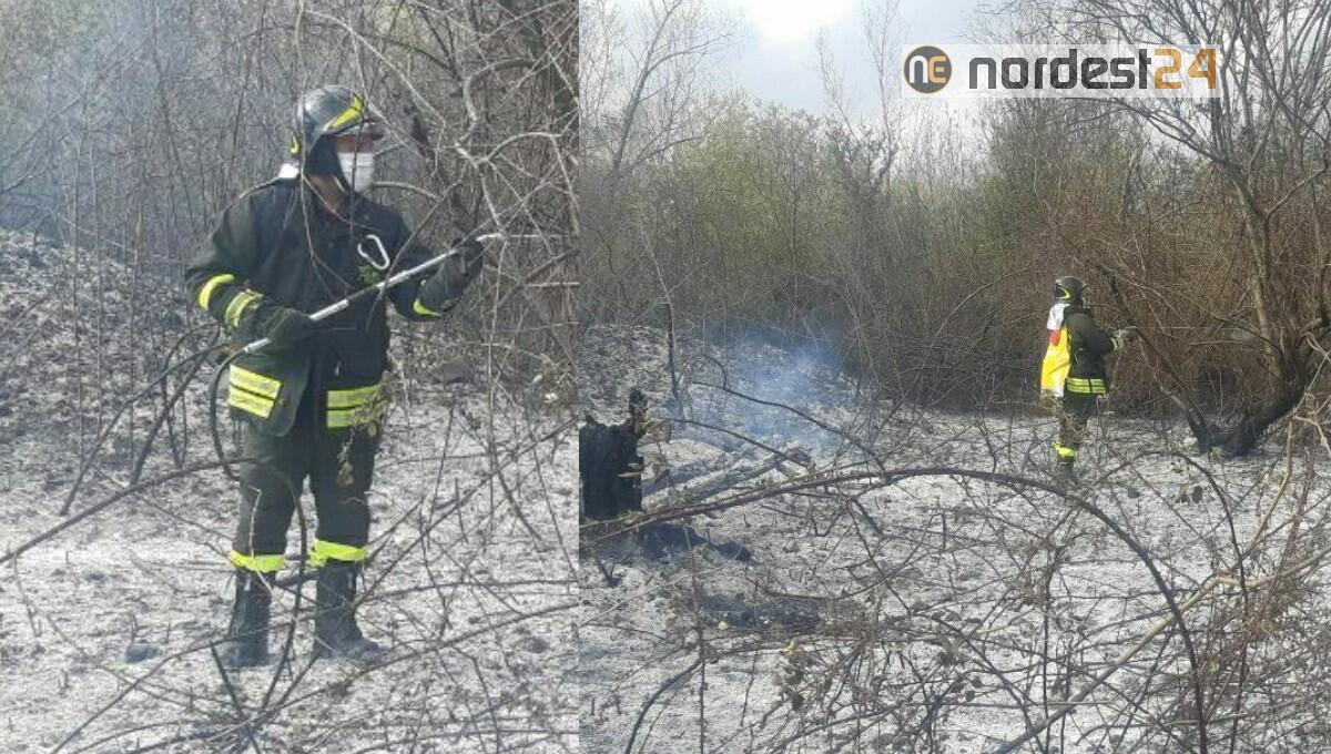 Incendio boschivo a Biauzzo di Codroipo - 