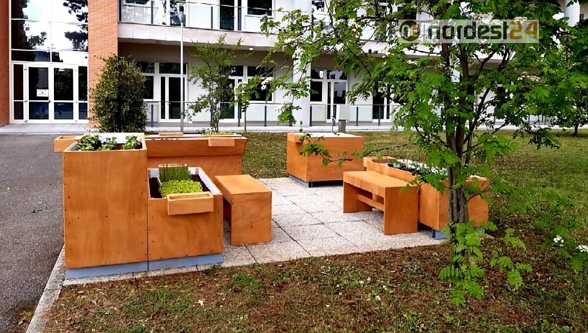 Al Gervasutta una nuova "terapia" per aiutare i pazienti: arriva l'orticoltura - 