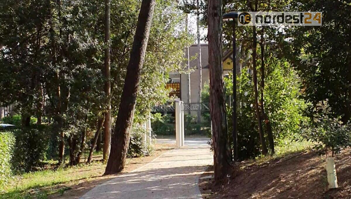 A Lignano nuova Ordinanza a tutela delle aree verdi e dei giardini privati - 