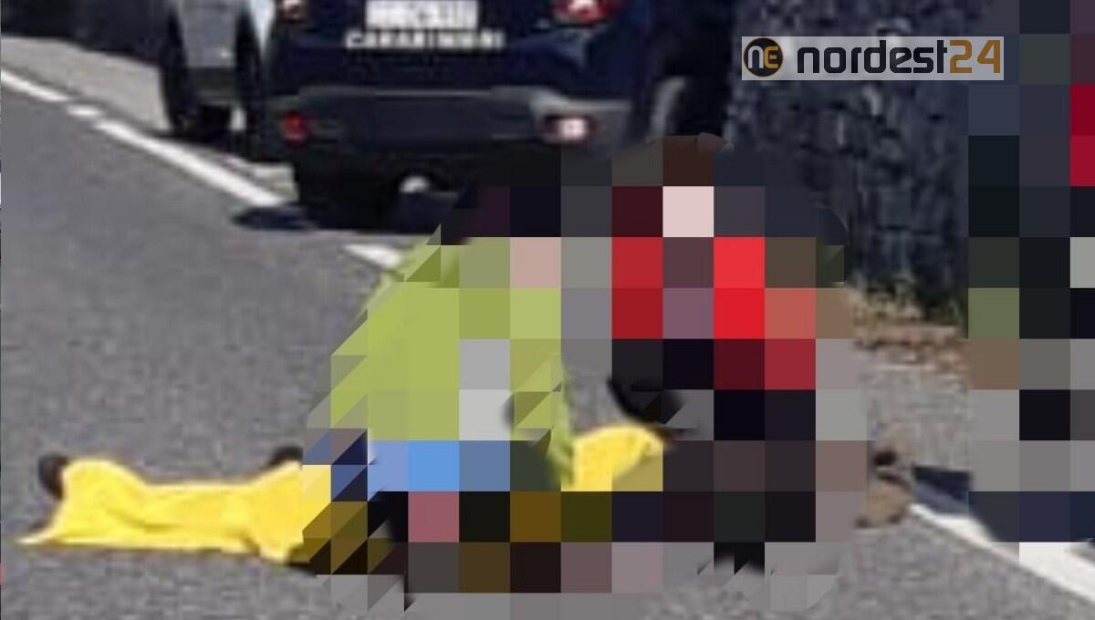 Travolto da un capriolo, ciclista  32enne finisce all'ospedale - 