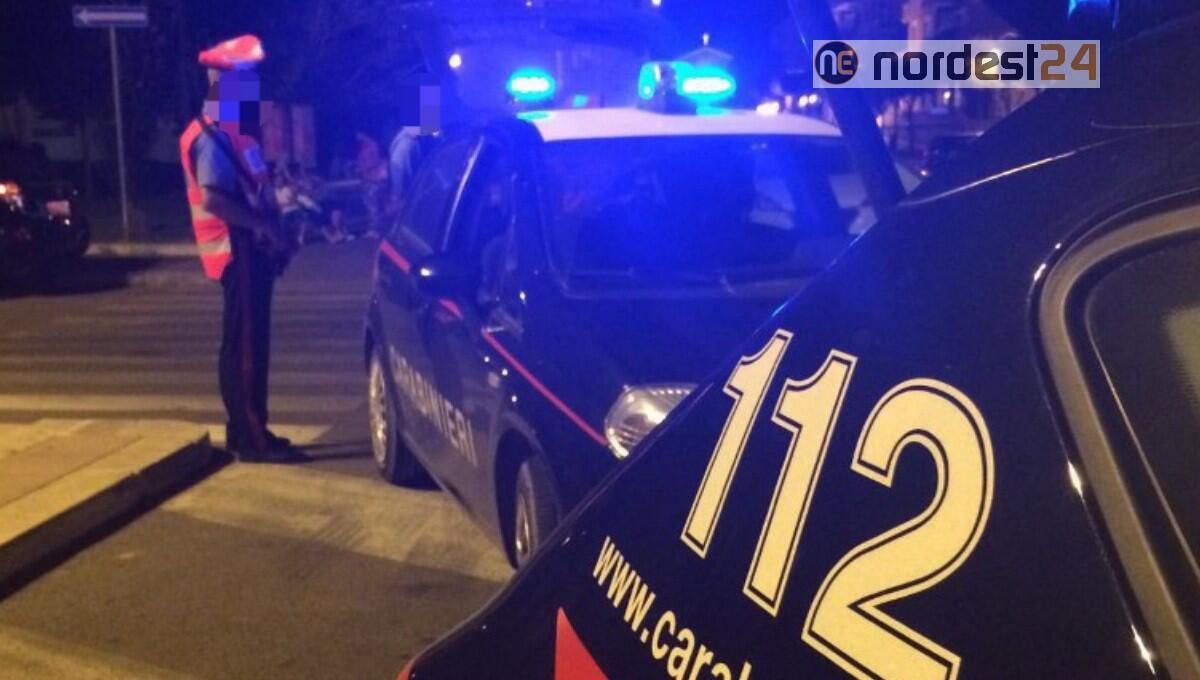 Passeggiata con i cani a mezzanotte, ma era una scusa: sanzionati - 