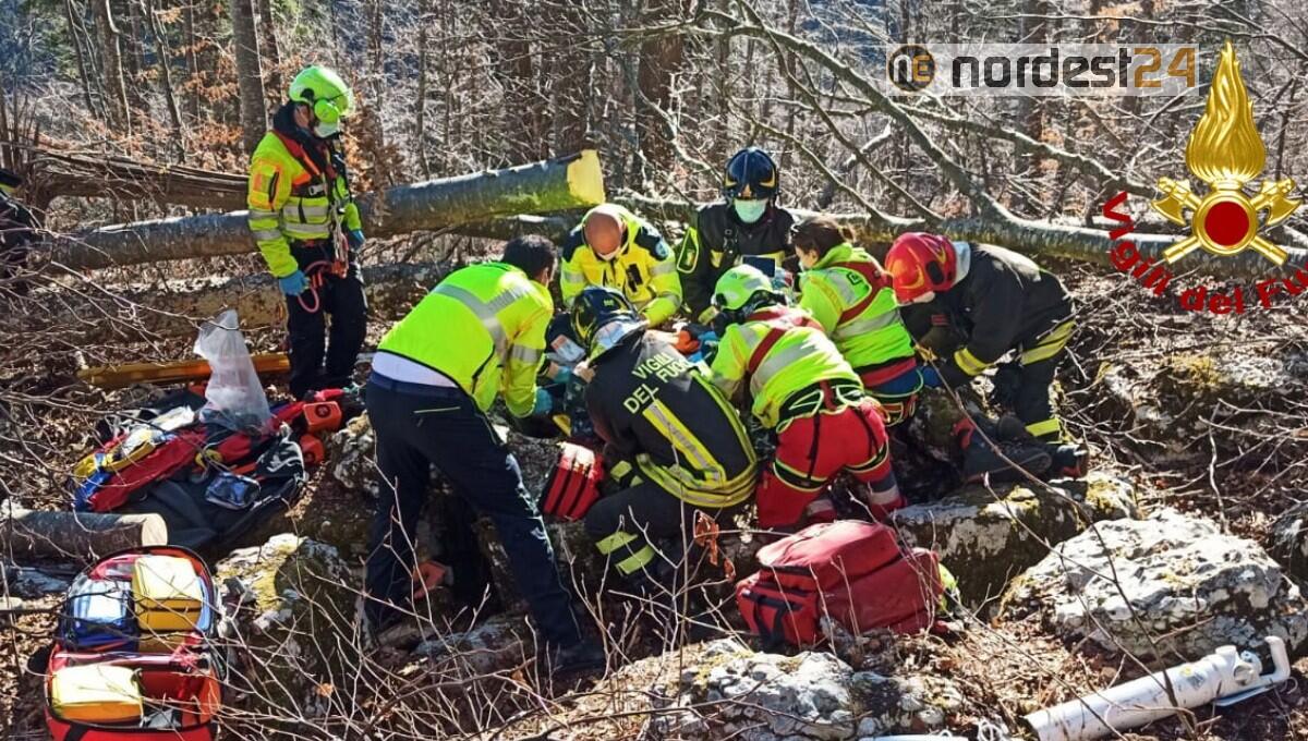 Travolto da un albero, grave un boscaiolo: elitrasportato all'ospedale - 