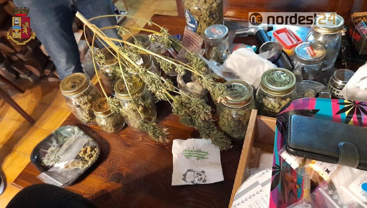 Supermarket della droga in casa a Gorizia: arrestato - 