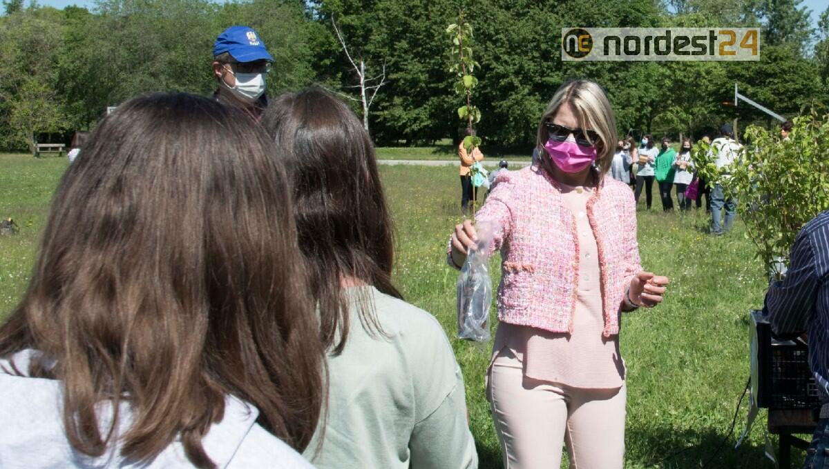 Campoformido "amico" delle api: donati 200 alberi melliferi alla scuola ed associazioni - 