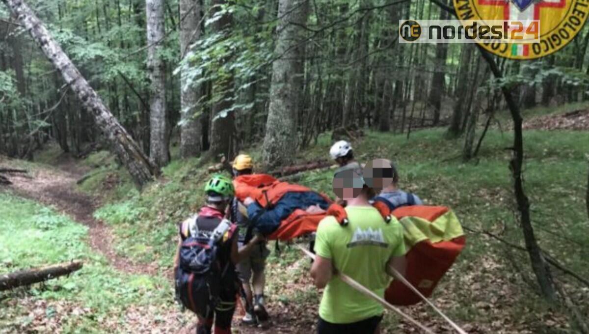 Si ferisce al capo con la motosega a Forni di Sopra: trasportato in ospedale - 