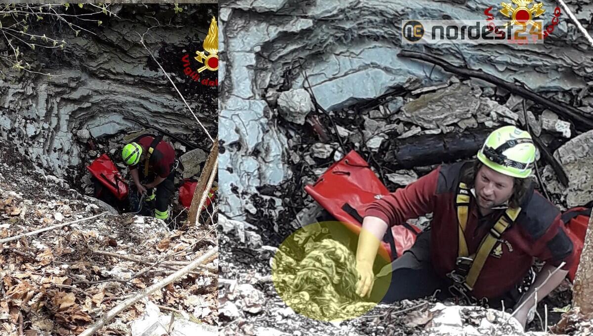 Setter cade per 50 metri in una forra: salvata dopo 5 giorni - 