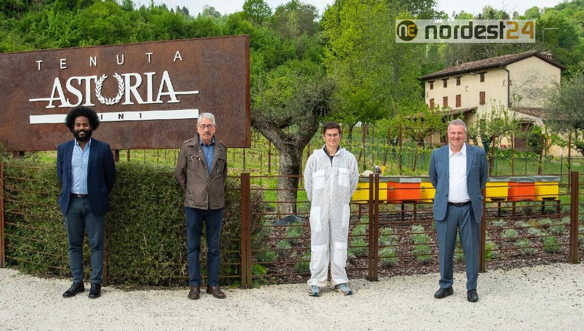 Arrivano le api (quelle vere) nella tenuta Astoria: 15 arnie con 20mila api ciascuna - 