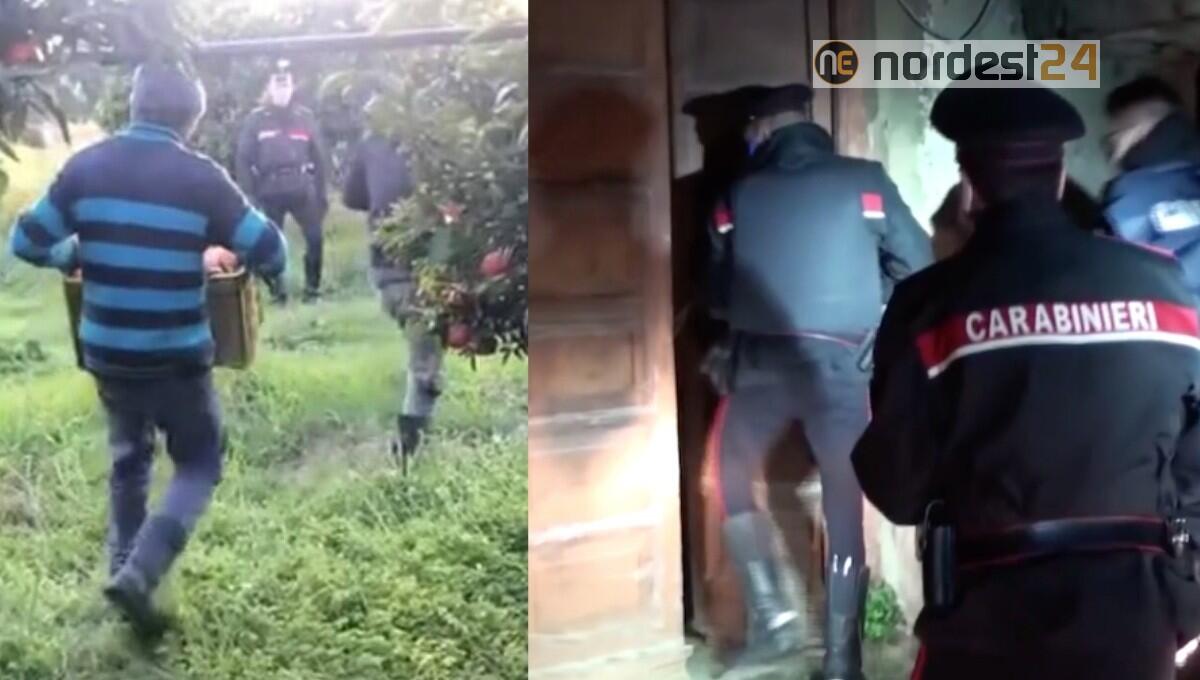 Pakistani ridotti in schiavitù tra Veneto e Fvg: 2 arresti per caporalato - 