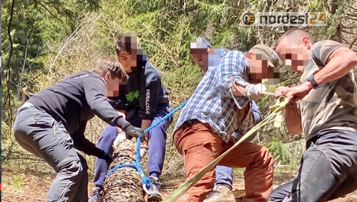 Forni di Sopra, il sentiero del Larice ritornerà percorribile grazie al lavoro dei volontari - 