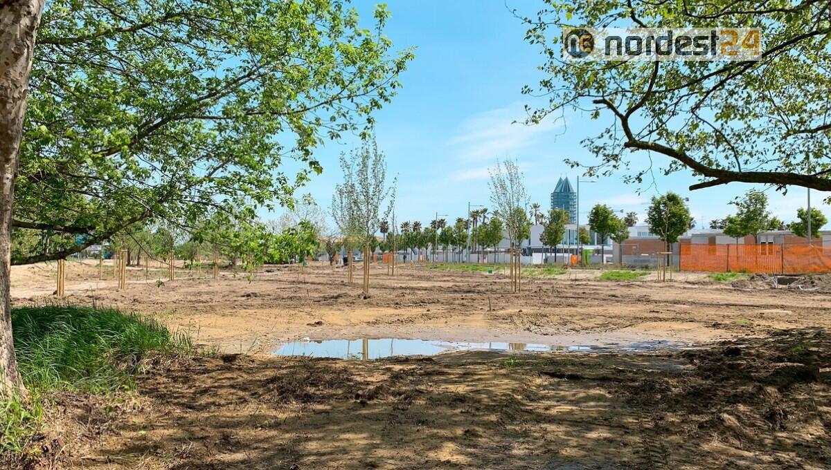 A Jesolo nuove aree di riforestazione per quasi 3 ettari - 