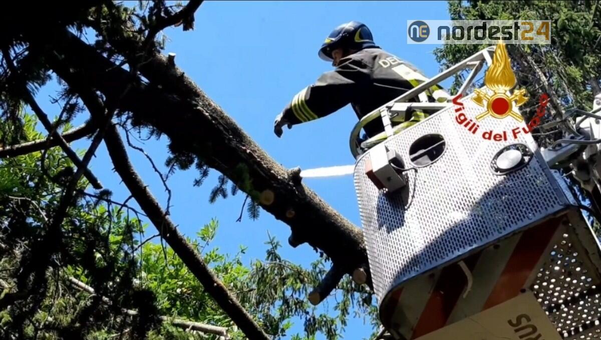 Maltempo nel pordenonese nelle ultime 2 sere: 70 interventi dei pompieri - 