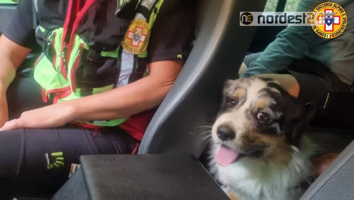 Si perdono sui monti e il loro cane viene morso sul muso da un serpente: soccorsi - 