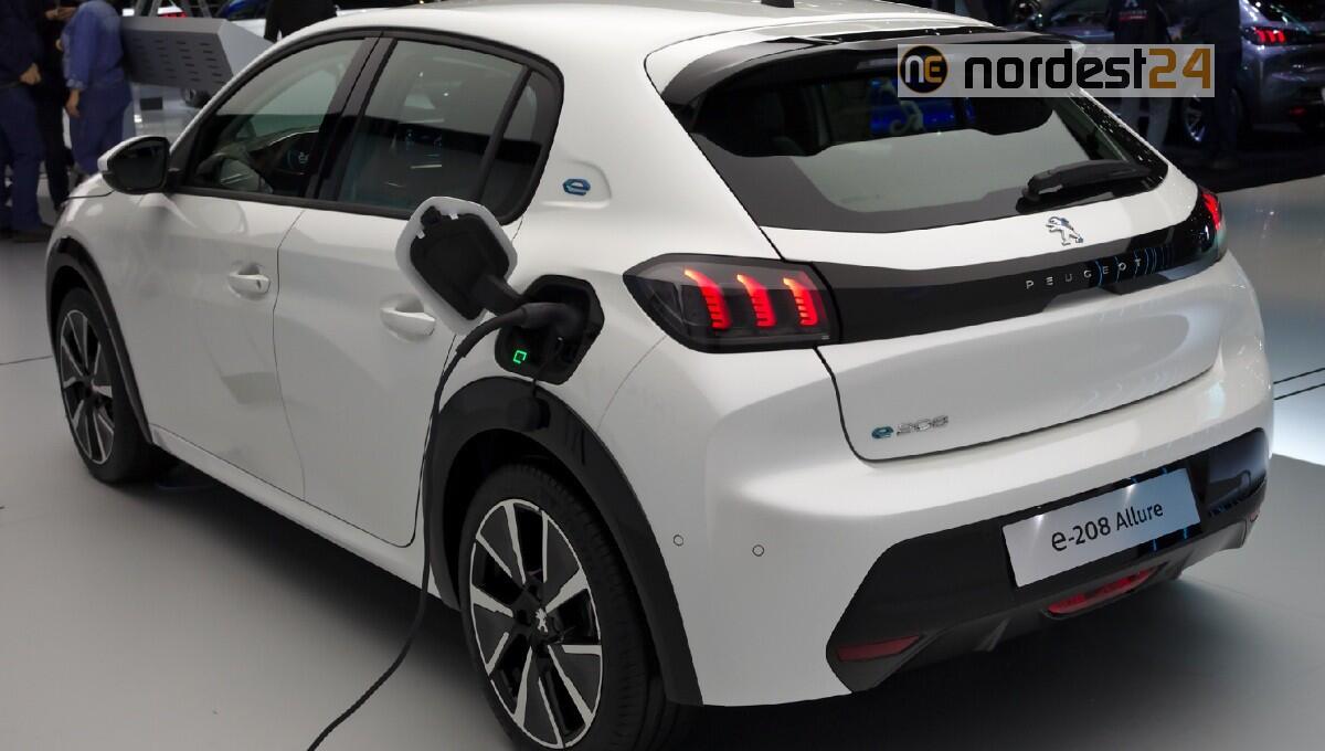 Portogruaro, Ulss4: 15 nuove auto elettriche al 100% per le attività territoriali - 