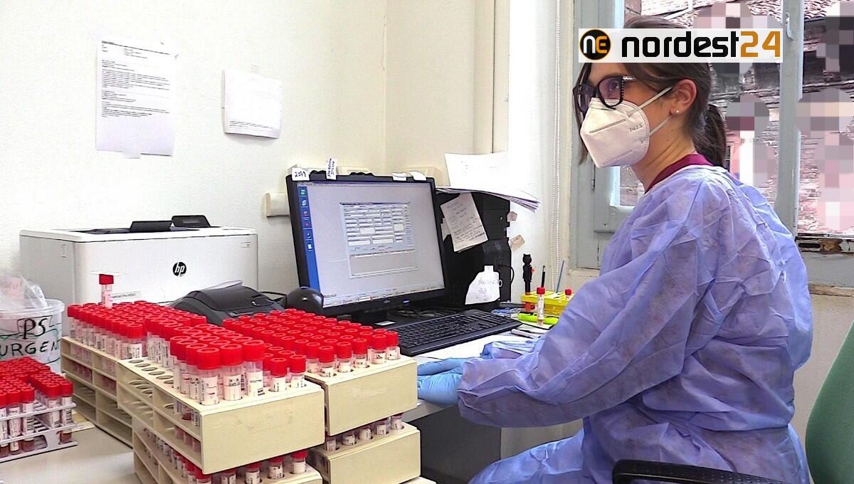 Covid, giù ancora il contagio in Fvg: 4 casi su 1529 tamponi - 