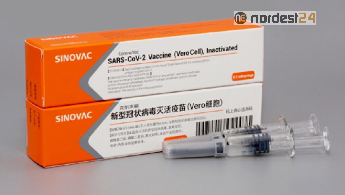 Via libera dell'Oms al vaccino cinese Sinovac: efficace al 100% sui casi gravi - 