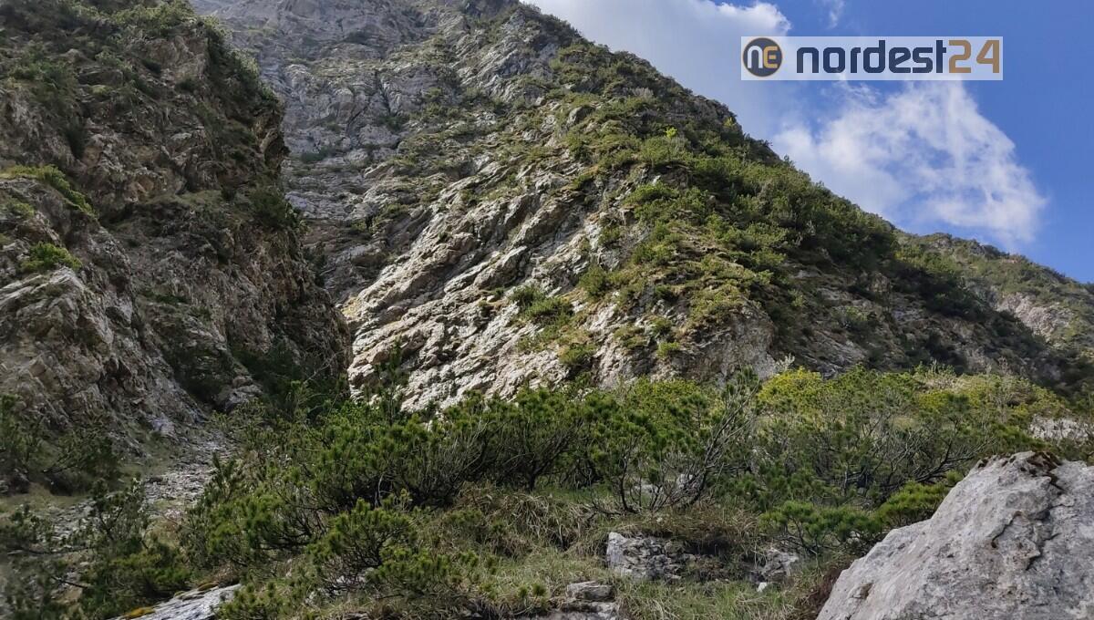 Non riesce a proseguire la discesa nelle Prealpi Clautane: recuperato escursionista in difficoltà - 