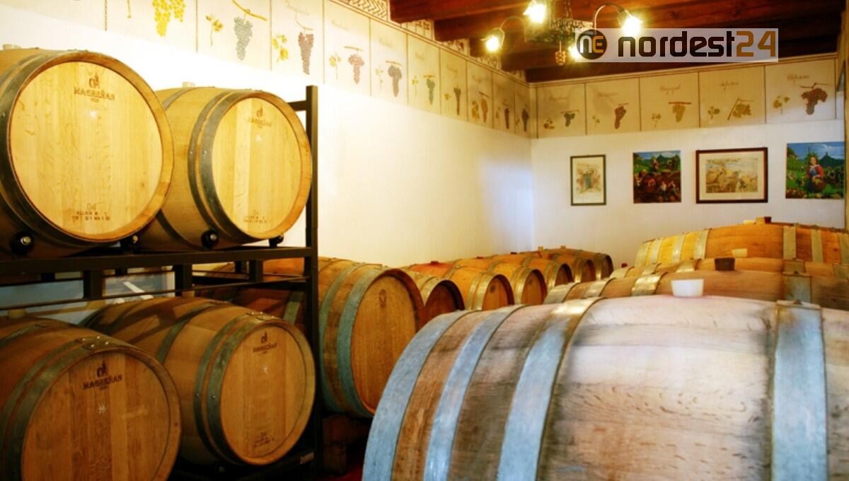 Parte il progetto “FAI un giro in vigna”, coinvolte le 4 Delegazioni e tutti i 6 Gruppi Fvg - 