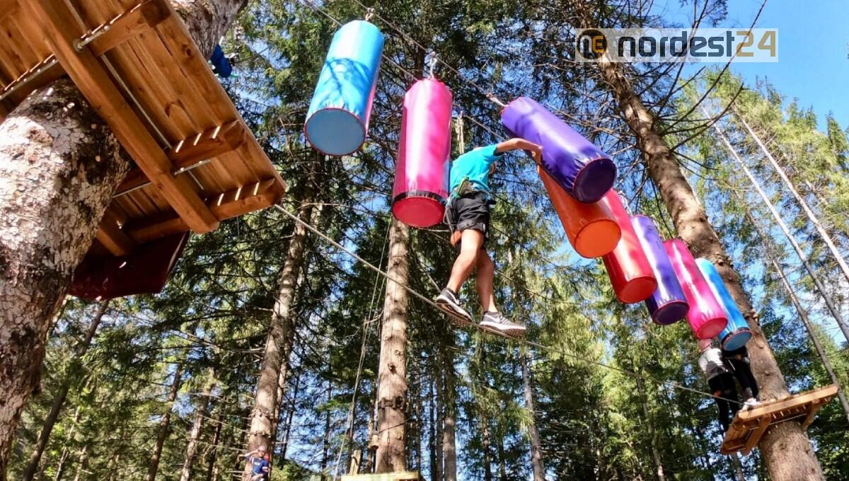 Riapre il Dolomiti Adventure Park di Forni di Sopra - 