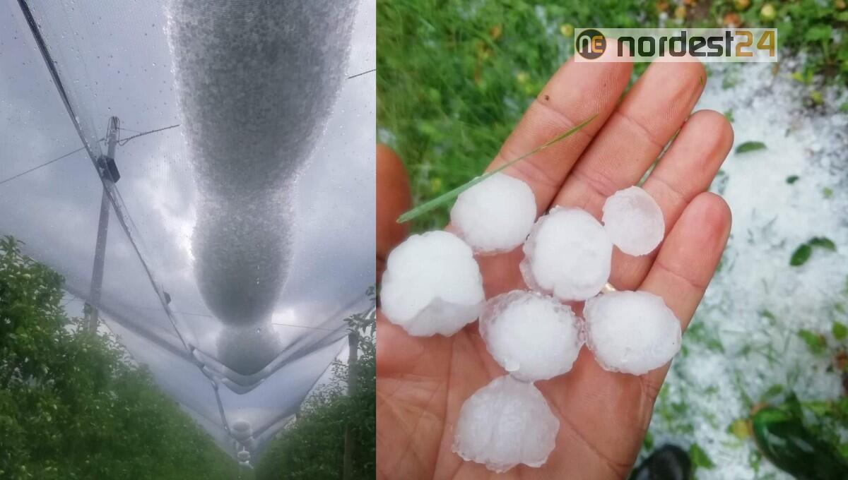 Trentino. Piogge intense, grandinate, allagamenti e danni alle colture - 