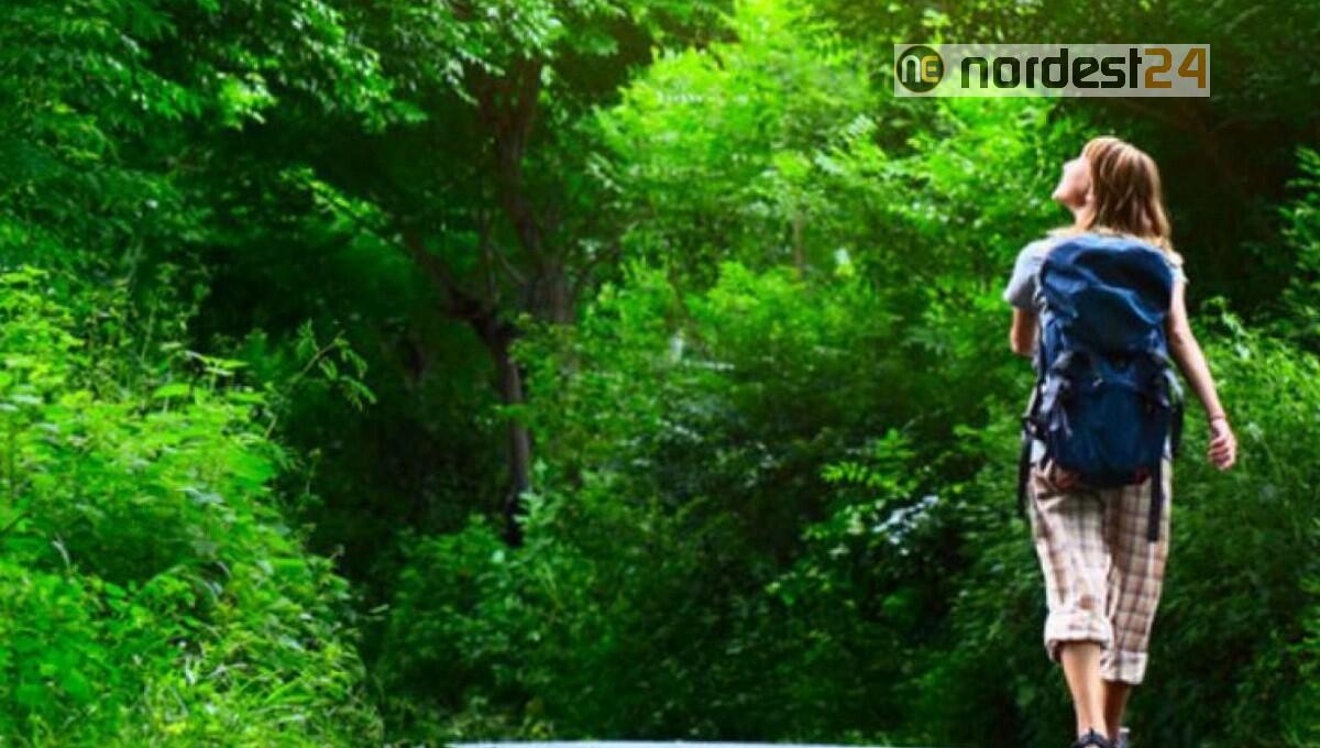 Eco-terapia, in Fvg la psicologia si fa anche all'aperto abbracciando la natura - 