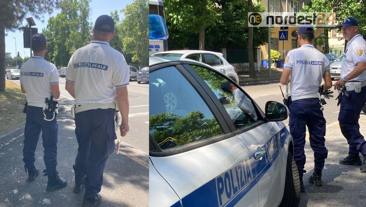 Trasporta carne in modo irregolare: sanzione di 10mila euro - 