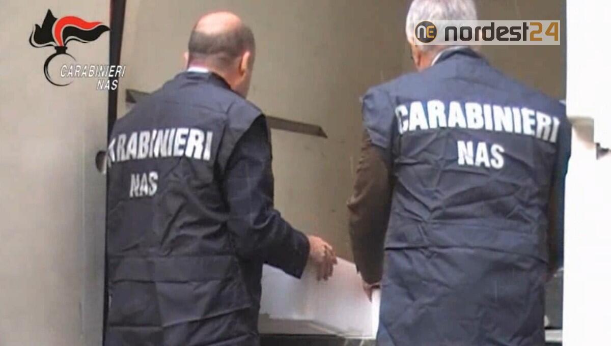 Mense scolastiche, "serve nuova normativa sugli appalti" - 