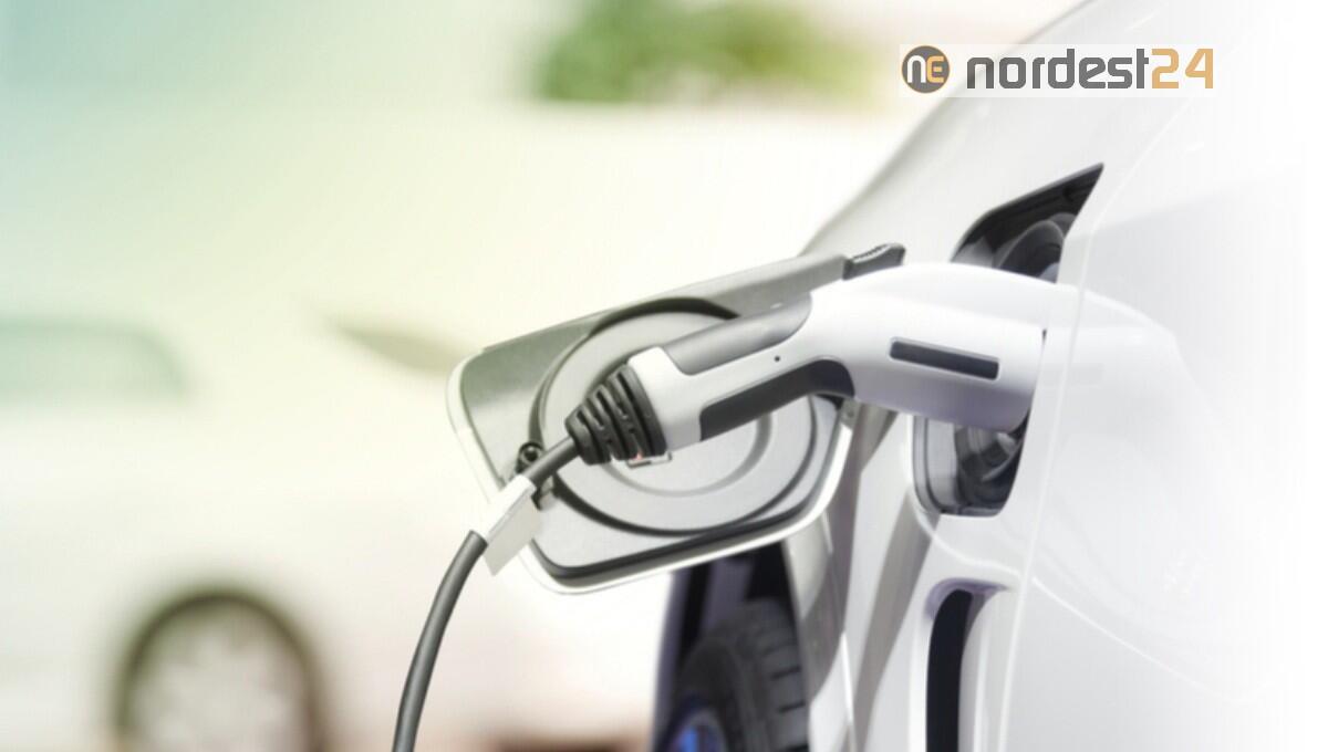 Udine, 12 nuove citycar al 100% elettriche per gli Assistenti sociali - 