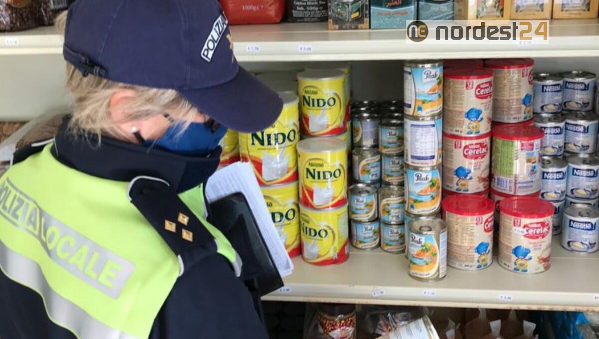 Monfalcone, mosche e carenze igieniche: sospesa attività di alimentari e macelleria - 