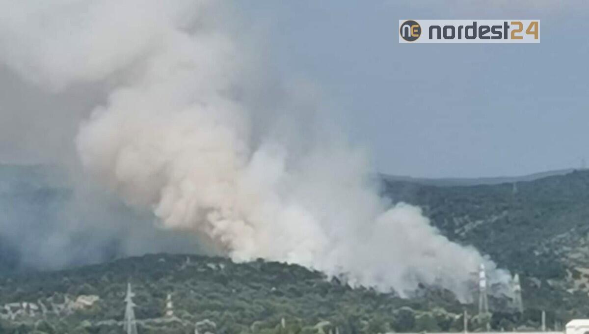 Incendio boschivo a Monfalcone lambisce l'autostrada A4 e la Statale 14 - 