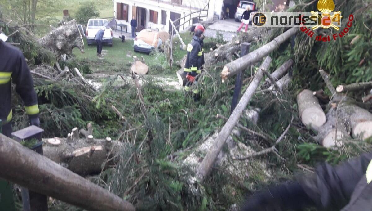 Maltempo in provincia di Verona e Vicenza: oltre 150 interventi dei vigili del fuoco - 