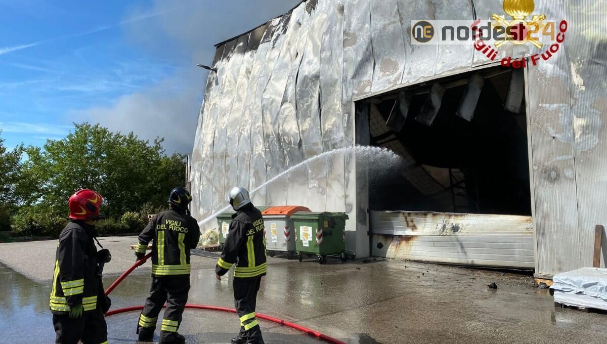 Arpa Fvg: "basse ricadute al suolo dell'incendio di Fagagna - 