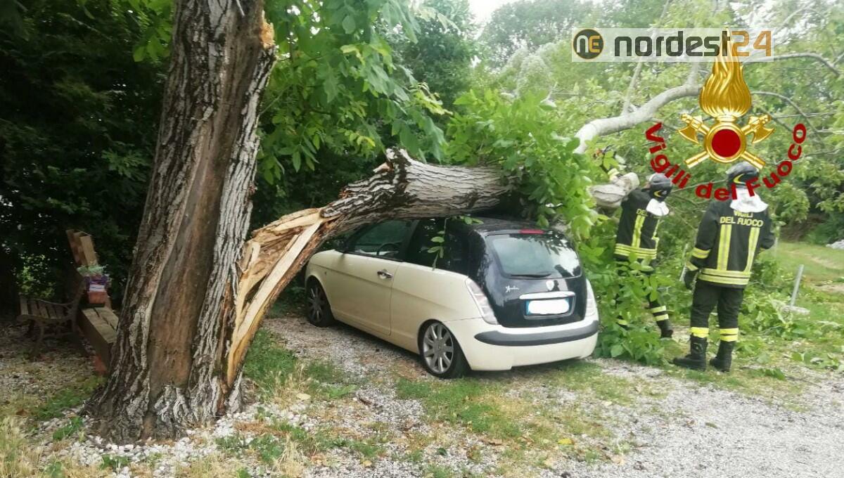 Maltempo a Nordest: forti raffiche di vento, grandine e pioggia - 