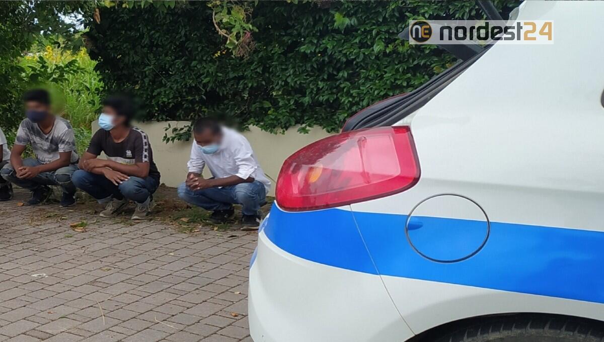 Rintracciati 4 migranti lungo la SR353 in comune di Pozzuolo del Friuli - 