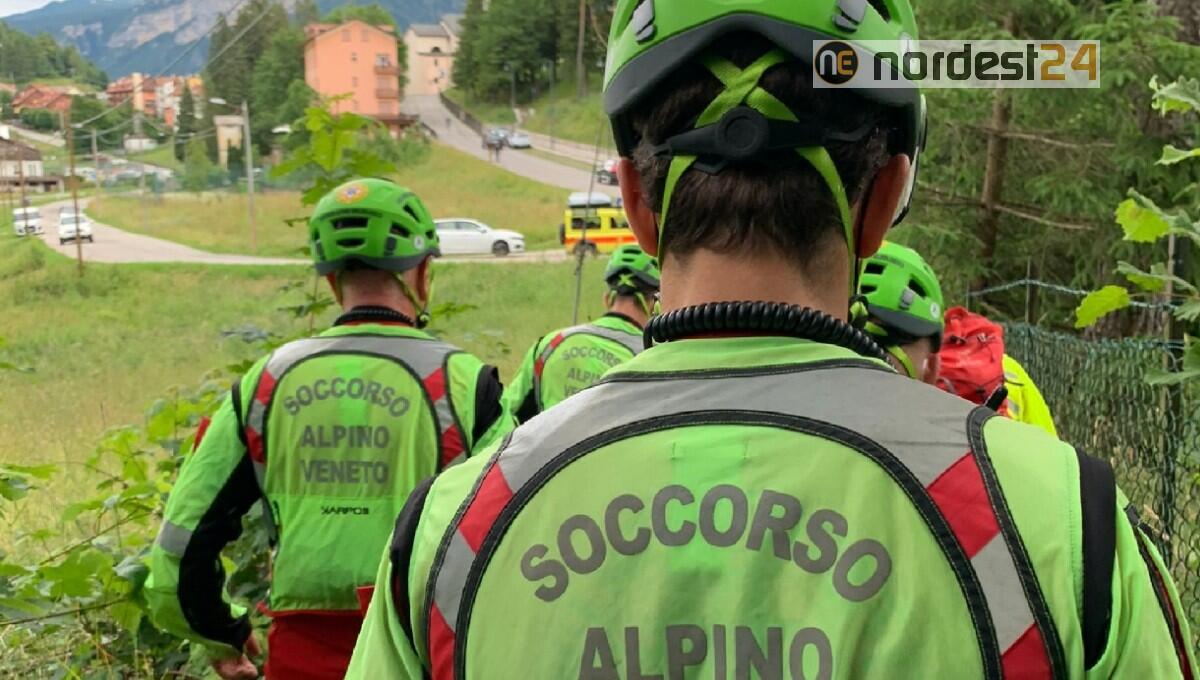 Boscaiolo colpito da una pianta: soccorso 46enne - 