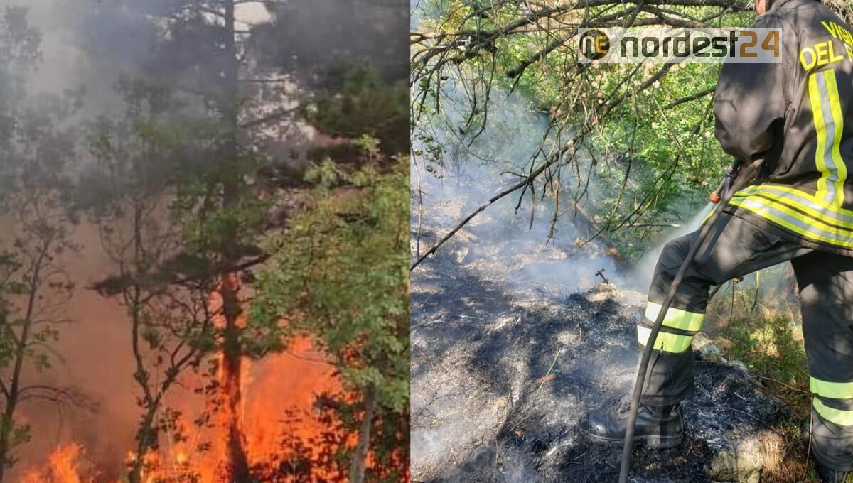 Incendio boschivo tra Monfalcone e San Giovanni di Duino: chiusa la SS14 - 