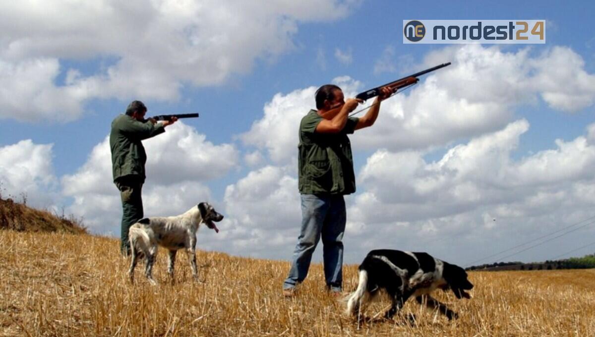 Caccia, Zannier: ruolo cacciatori rilevante per monitoraggio Beccaccia - 